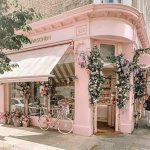 download (7).jpg