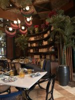 IMG_0993.jpeg