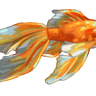 WilliamWisp